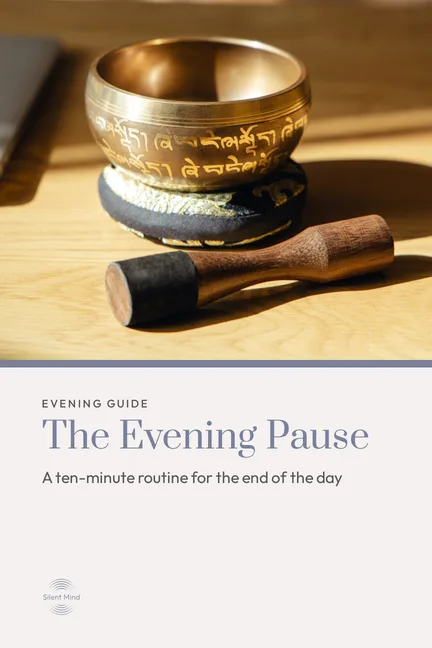 Cover of The Evening Pause