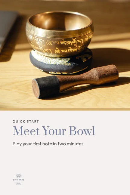 Cover of Meet Your Bowl
